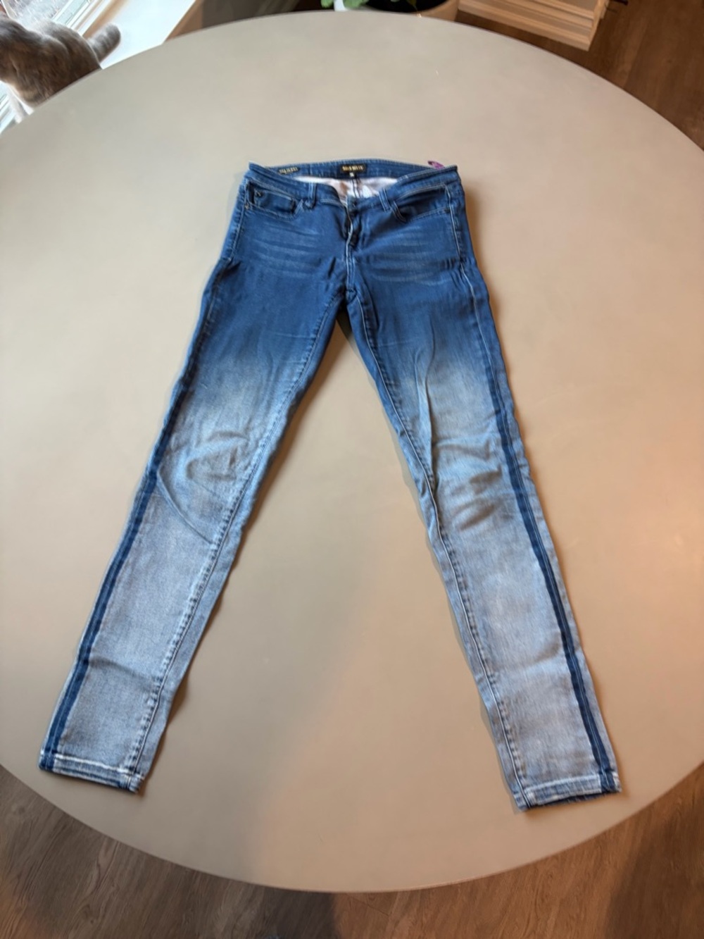 Miss Sixty Blue Ombre Skinny Jeans